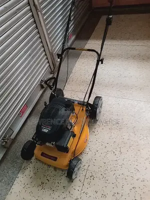 Gasoline Lawn Mower