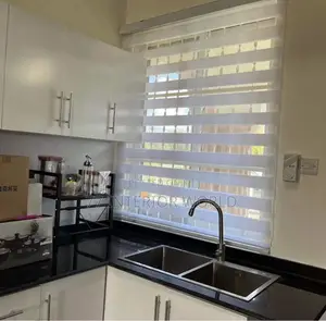 Zebra/Vision Blinds