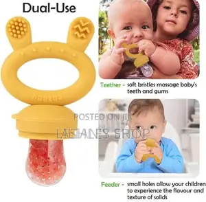 Baby Fruit Food Feeder