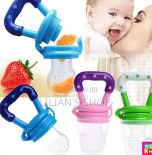 Baby Fruit Food Feeder
