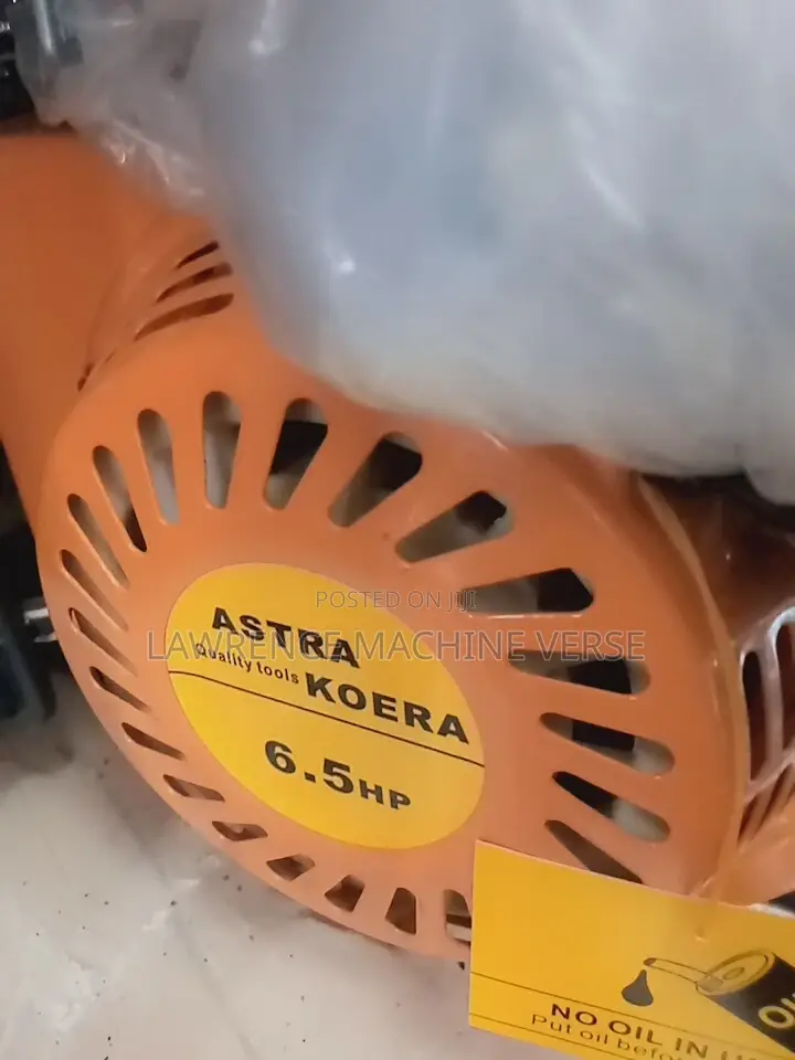 Gasoline Generator 3000W