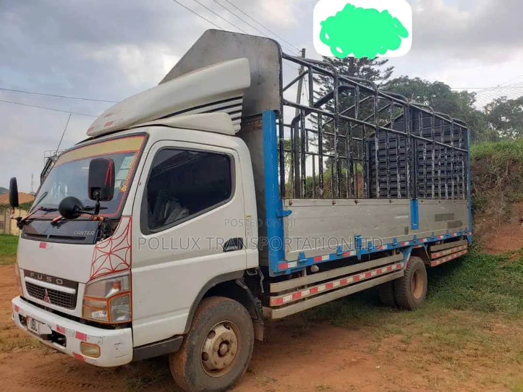FUSO Fighter for Cargo Transportation.