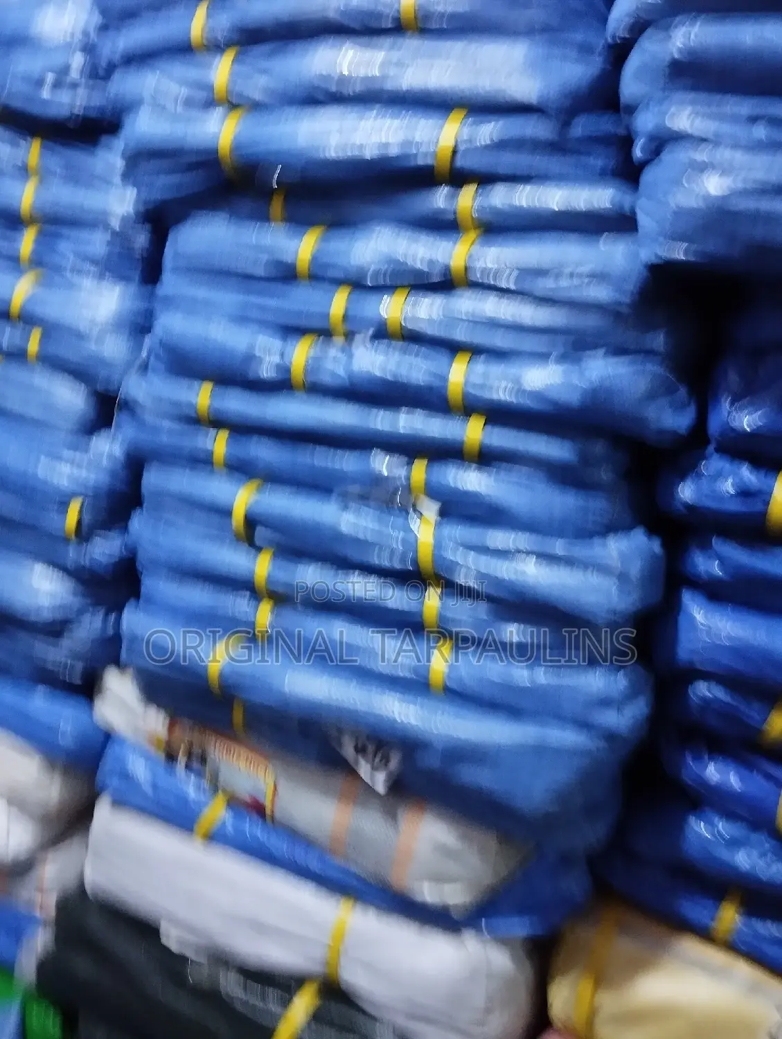 Blue Medium Sizes