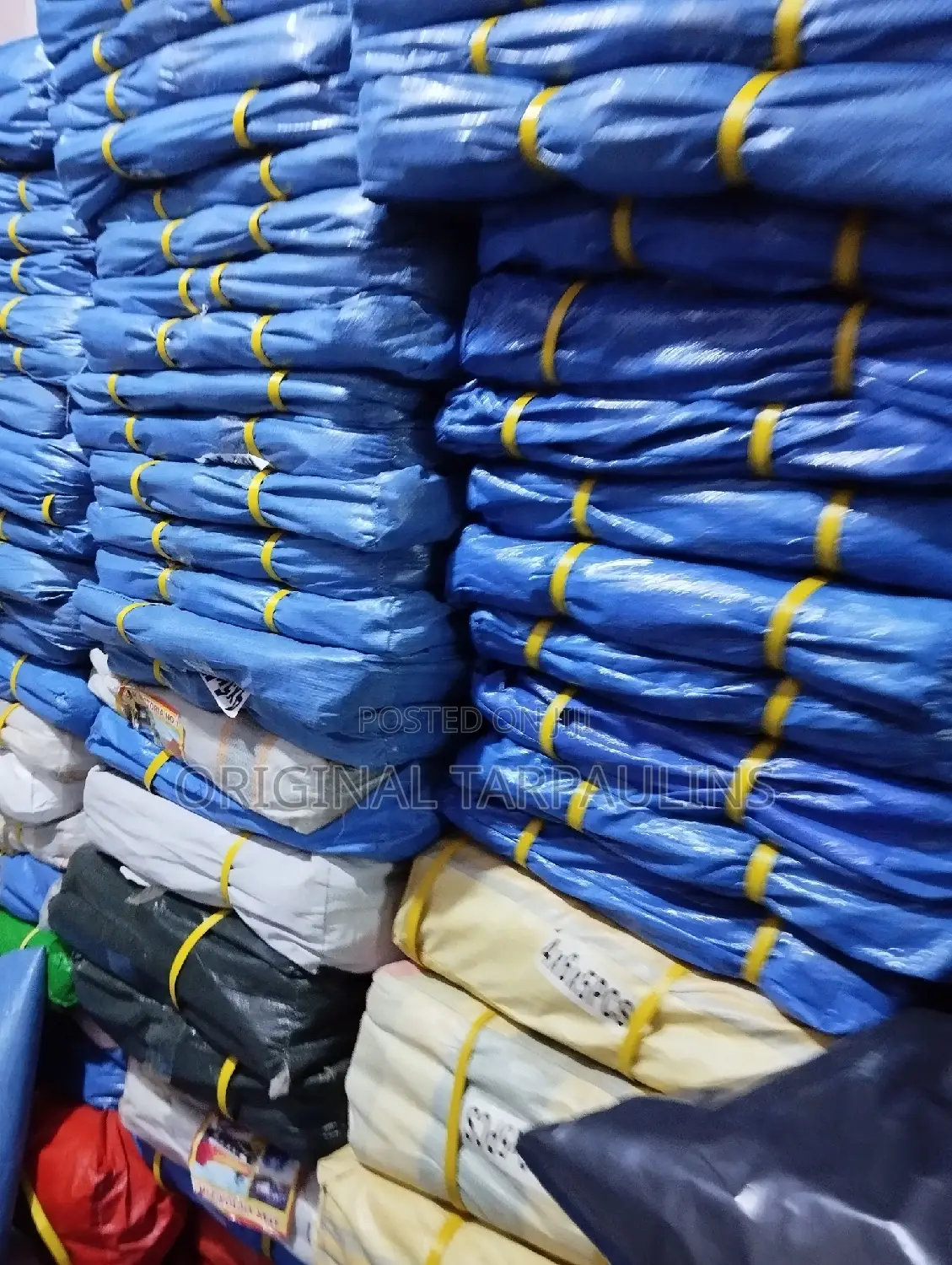 Blue Medium Sizes