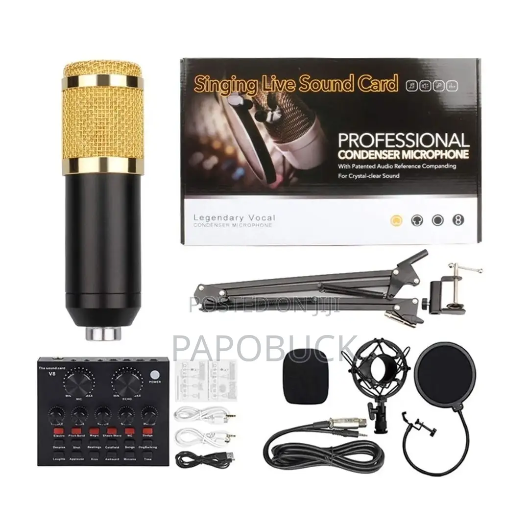 Professional Condenser Microphone