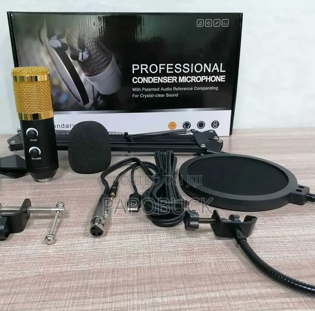 Professional Condenser Microphone