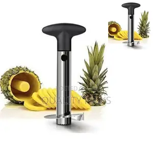 Stainless Pineapple Peeler