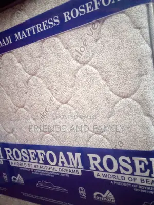 Aloe Vera Spring Mattress 6*5*10.Inches