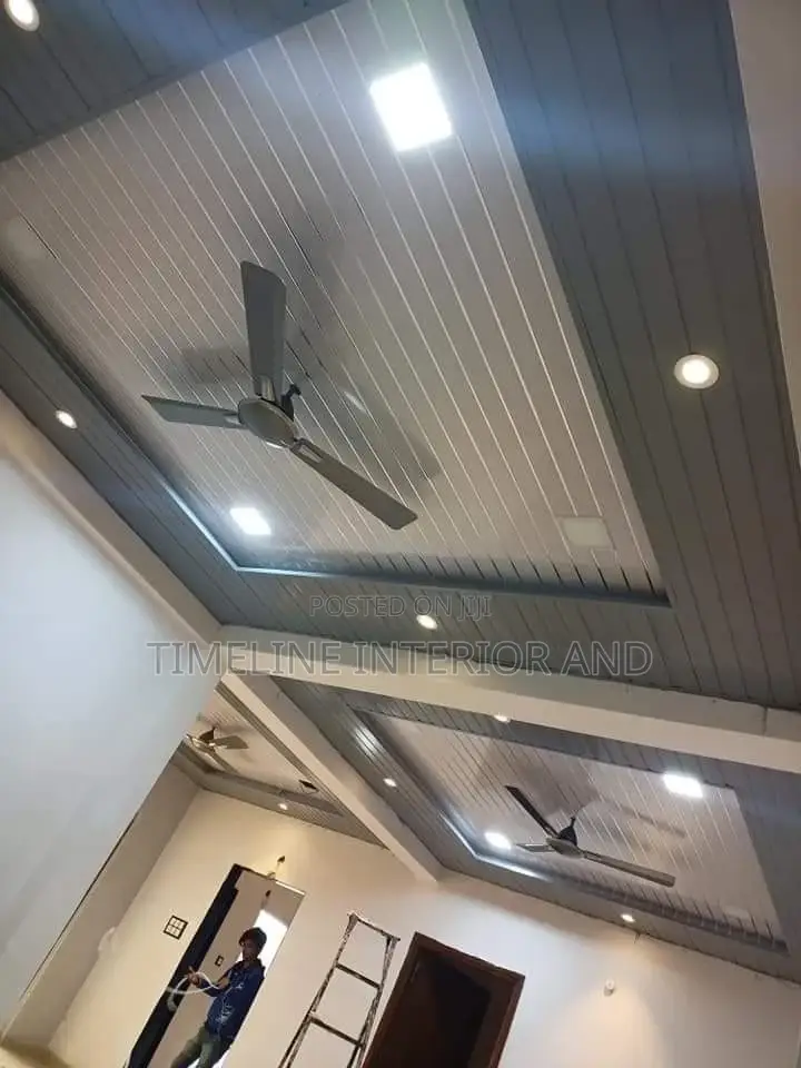 Gypsum Drywall Ceiling and PCV Ceiling.