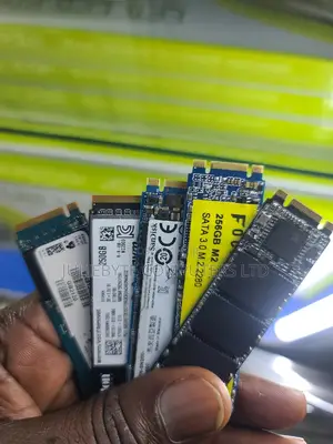 256 SSD M2/ Nvme Solid State Drives