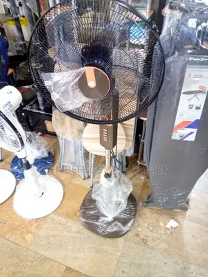 Long Stand Fan
