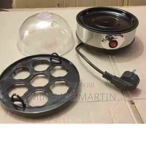 DSP Egg Cooker.