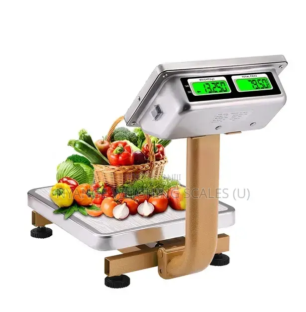 60kg /0.1g Mini Table Platform Weighing Scales
