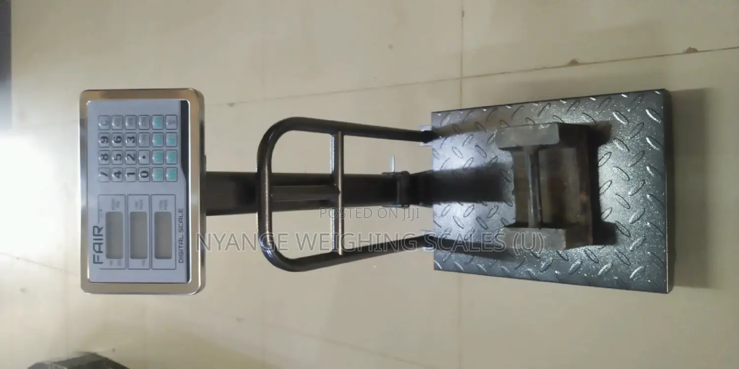 Foldable Weigh 150kg Platform Weighing Scale Digital Weighing Scale(1)