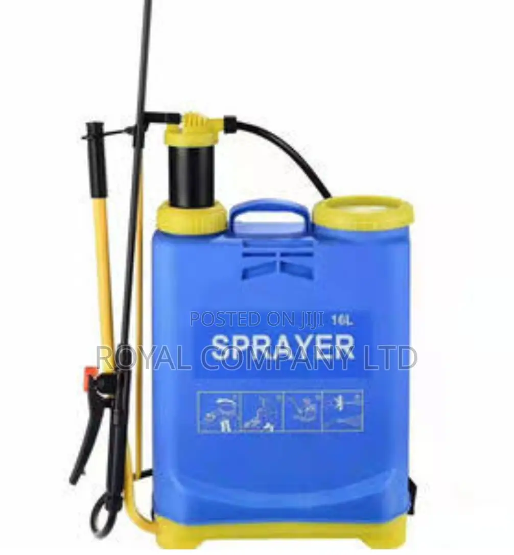 Chemical Sprayer With Its Pump