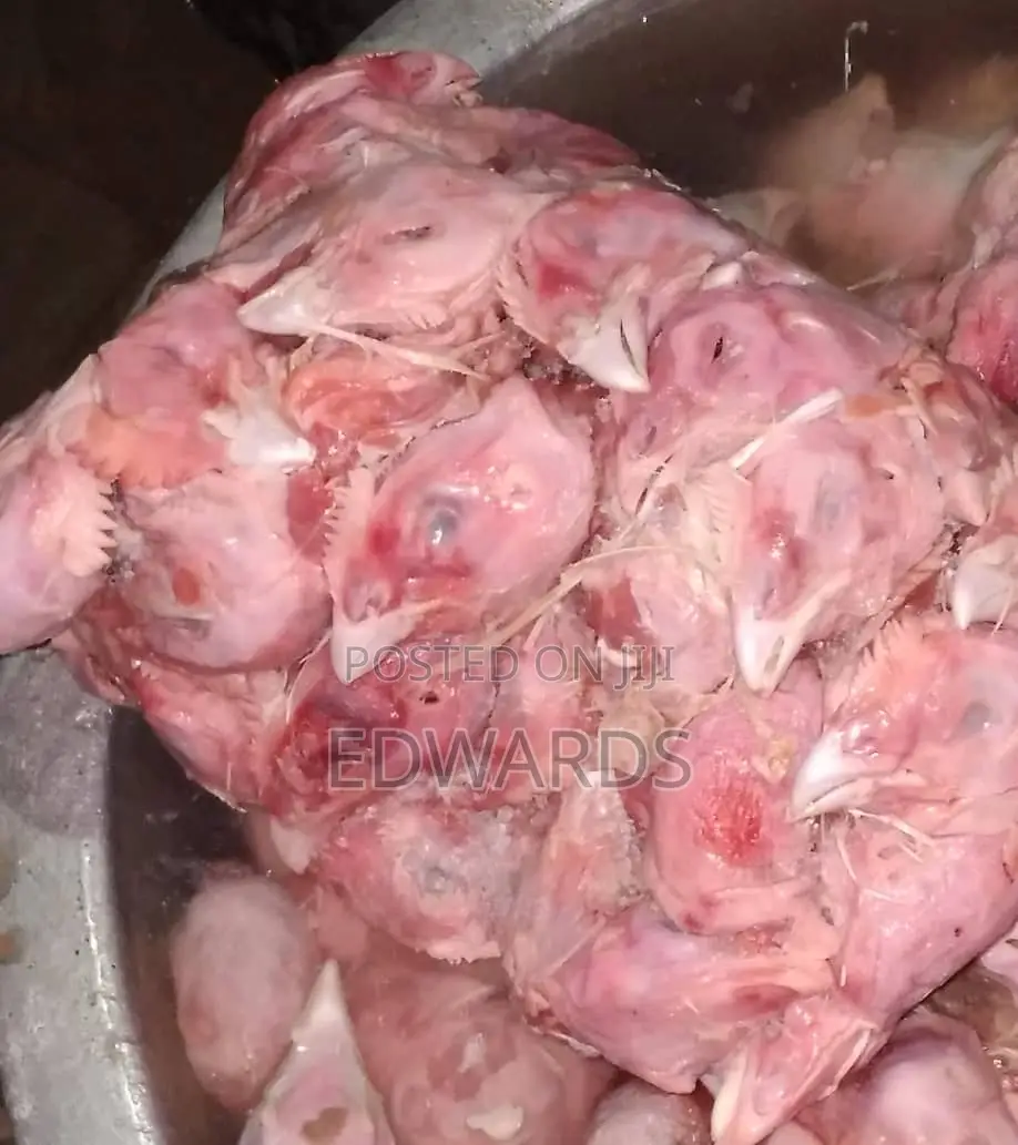 Chicken Legs for Dogs Feeds