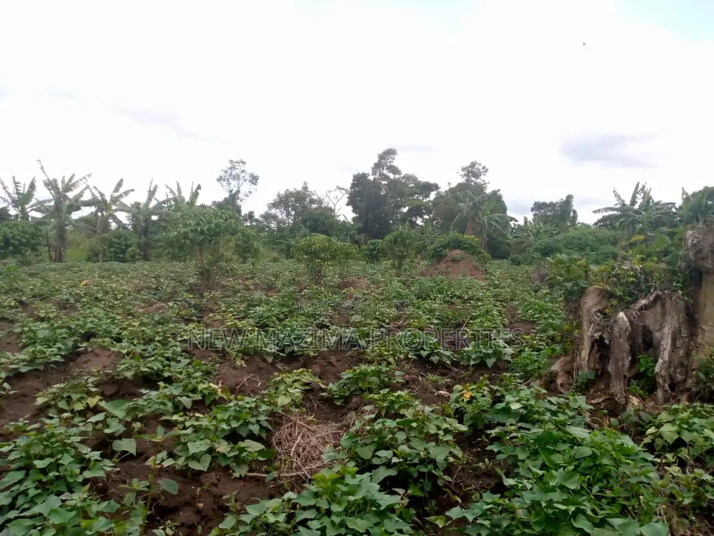 Very Strategic 7 Acres With 3phase Power Onsale Bombo Kalule