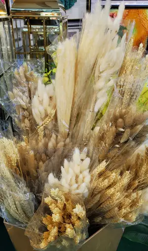 Fluffy Pampas Grass Decor ,Stunning Decoration- Abatch