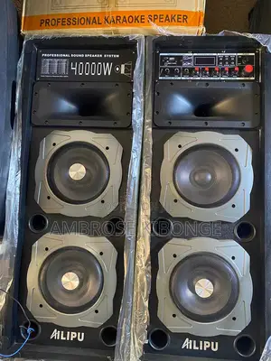AILIPU Paired 40000watts Professional Sound Speaker System.