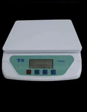 Ts-500 Electronic Compact Weighing Scale 30kg