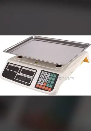 Electronic Price Computing Digital Scale 30kg