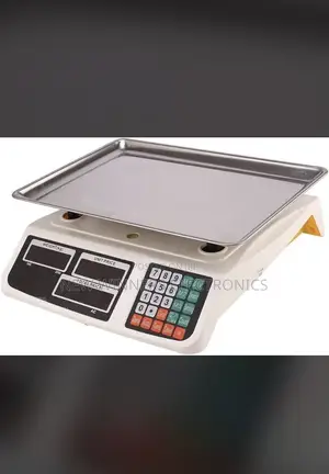 Electronic Price Computing Digital Scale 30kg