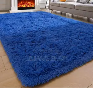 Modern Stylish Fluffy Center Carpet
