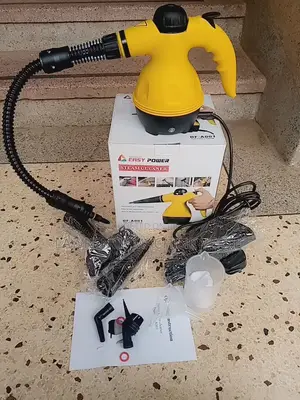 Steam Cleaner