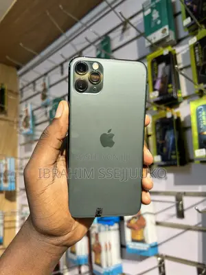 Apple iPhone 11 Pro Max 256 GB Gray