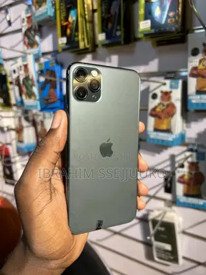 Apple iPhone 11 Pro Max 256 GB Gray