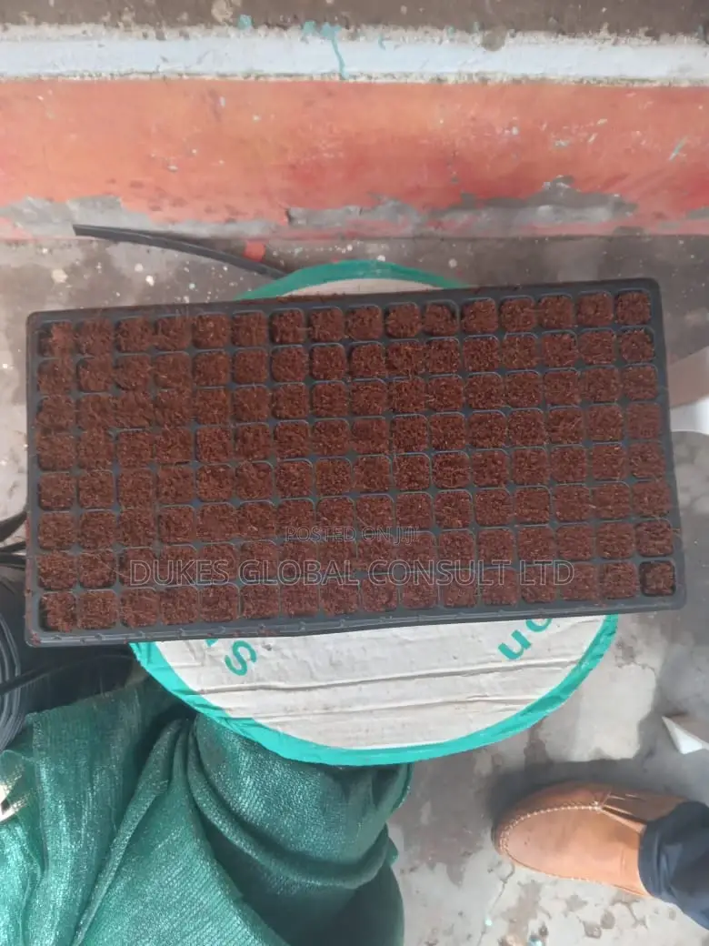 Treated Cocopeat.