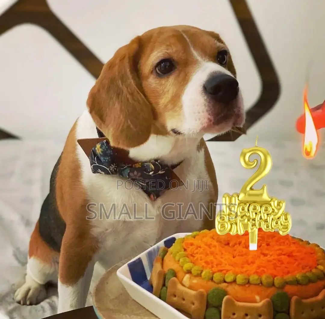 Happy Birthday Gold Number Candle