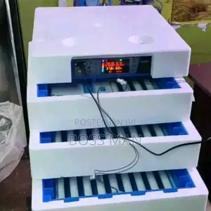 256 Eggs Incubator (Imported)