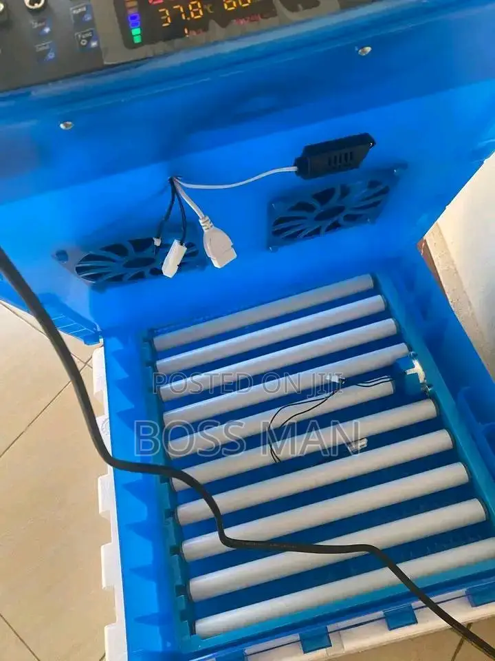 256 Eggs Incubator (Imported)
