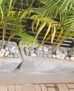 White Stones
