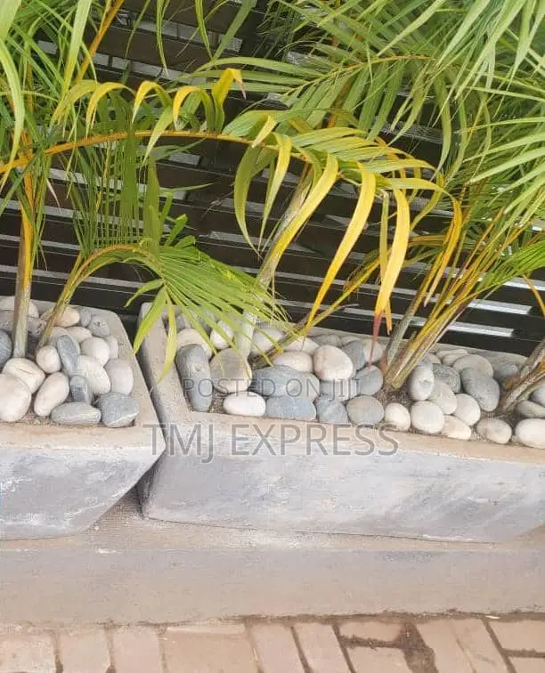 White Stones