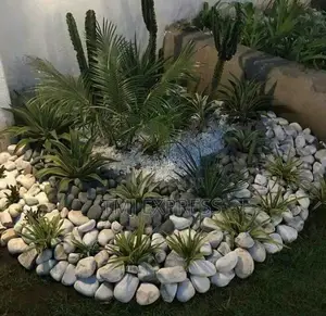 White Stones