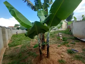 Furnished 4bdrm House in Kira for sale