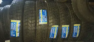 Taitony 8.25r20 Tires