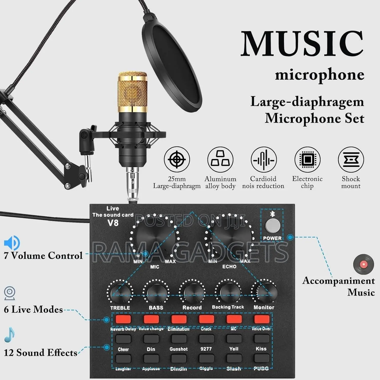 Condenser Microphone