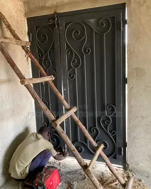 Security Basement Door