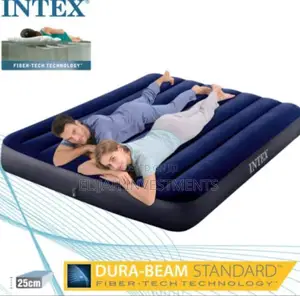 4 by 6 Intex Standard Inflatable Air Mattress