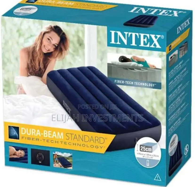 4 by 6 Intex Standard Inflatable Air Mattress