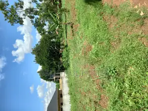 50*100 in Kira on Sell