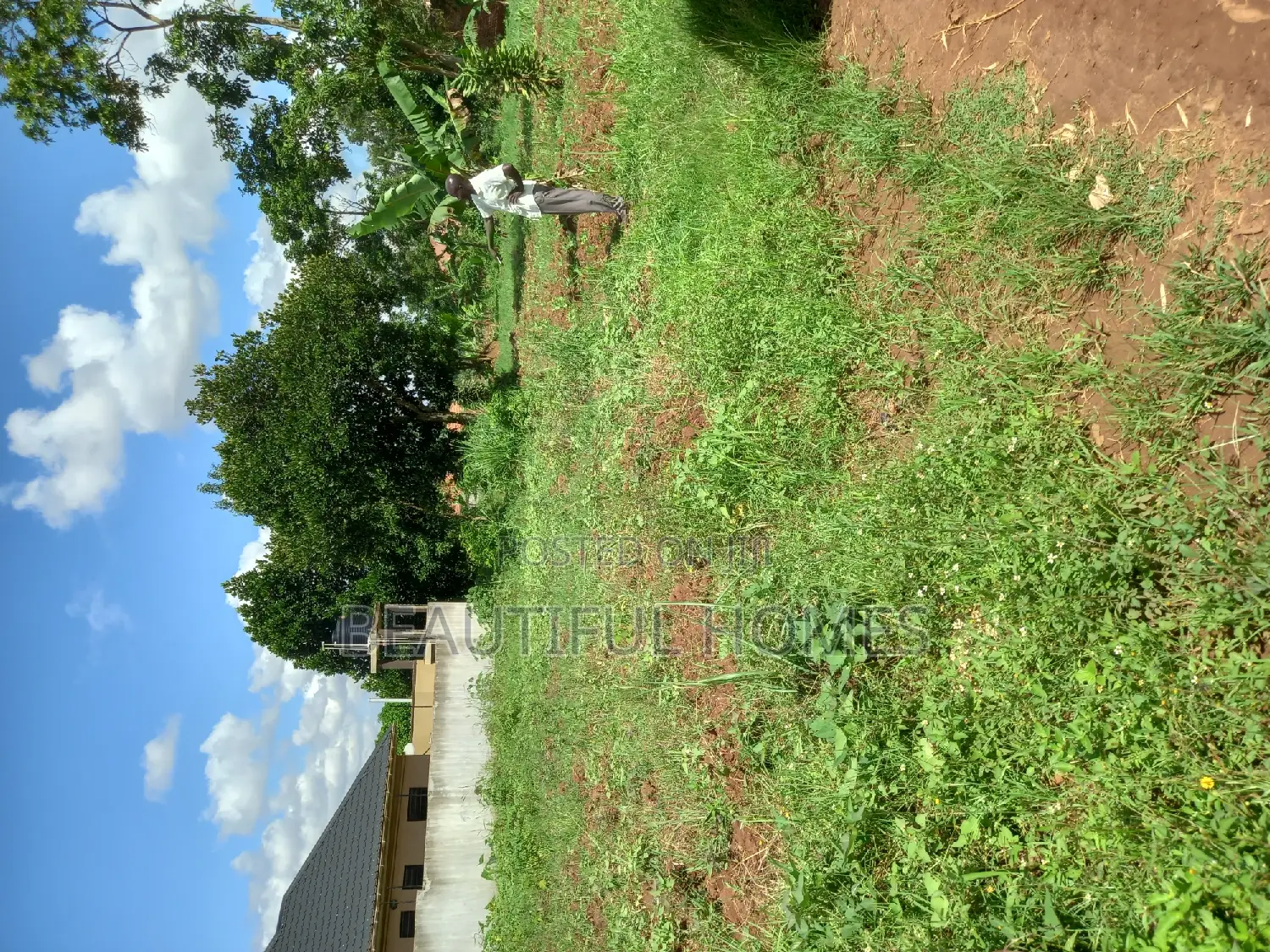 Kira Classy Plot for Sale