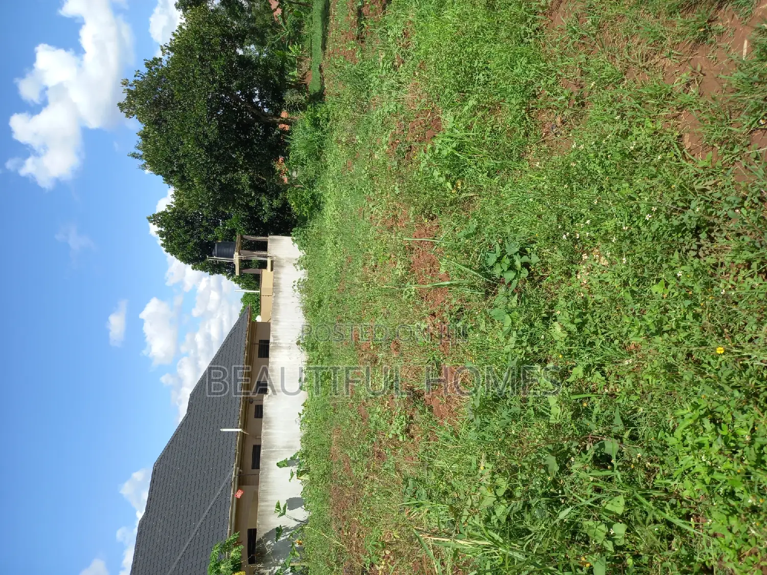 Kira Classy Plot for Sale