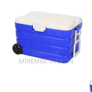Plastic Ice Cooler Box.
