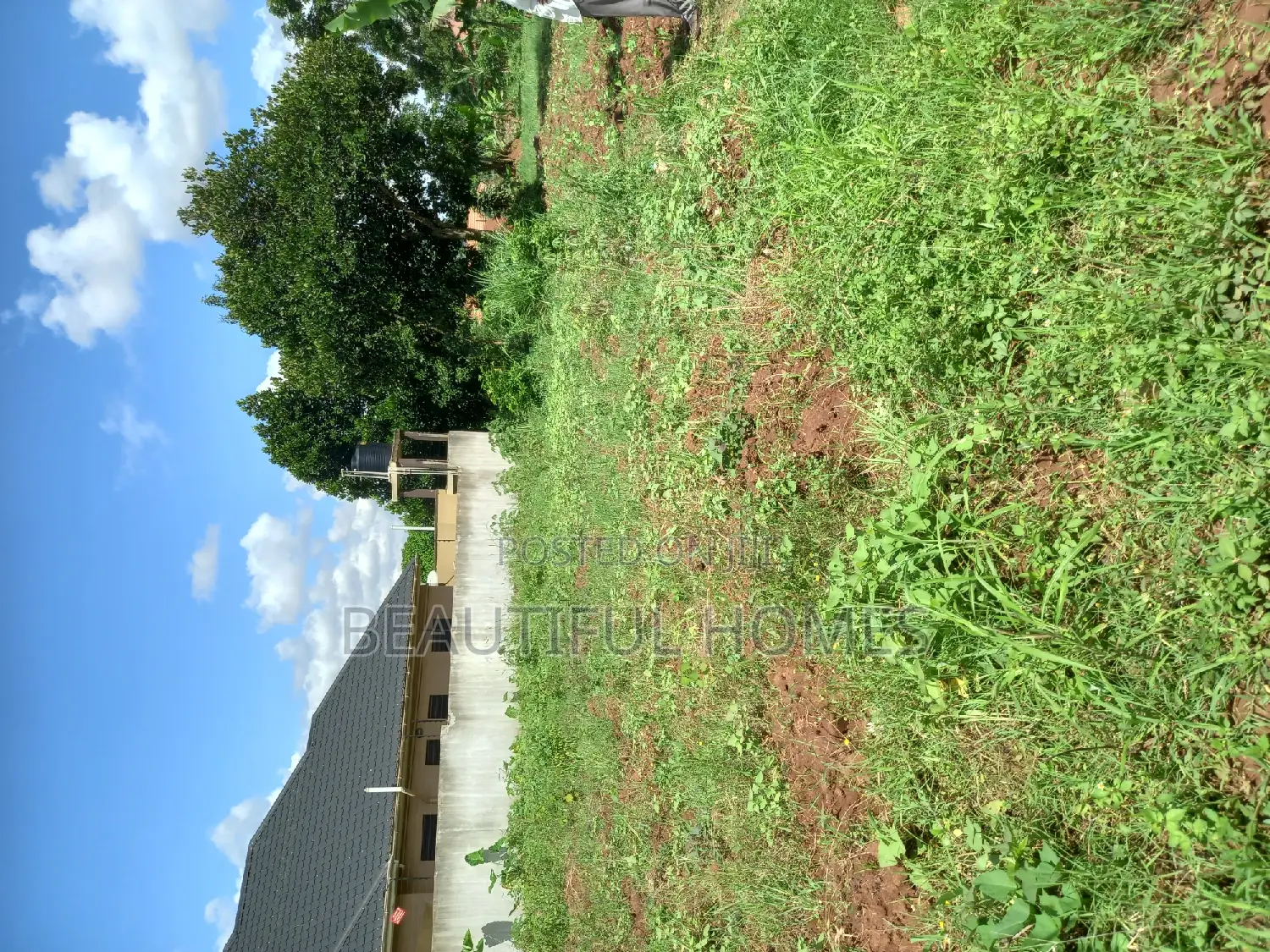 Kira Plots of Land on Sell