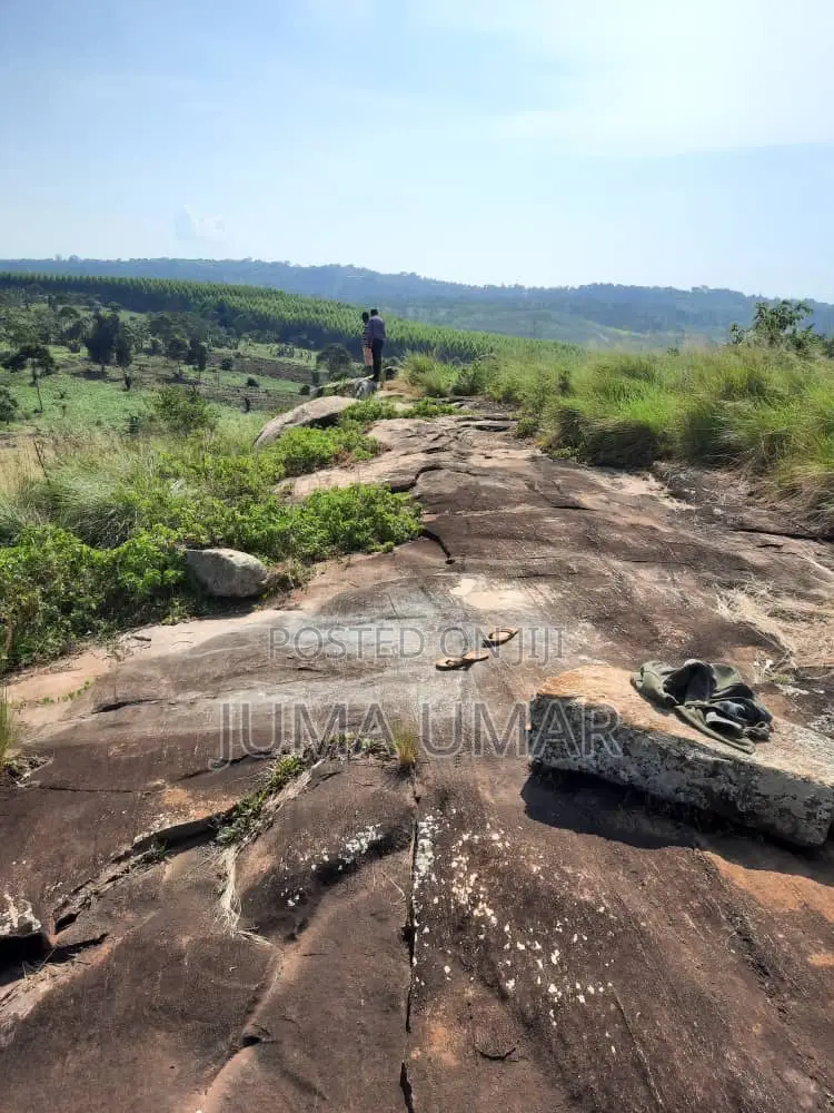 Rocky Land for Quarry.