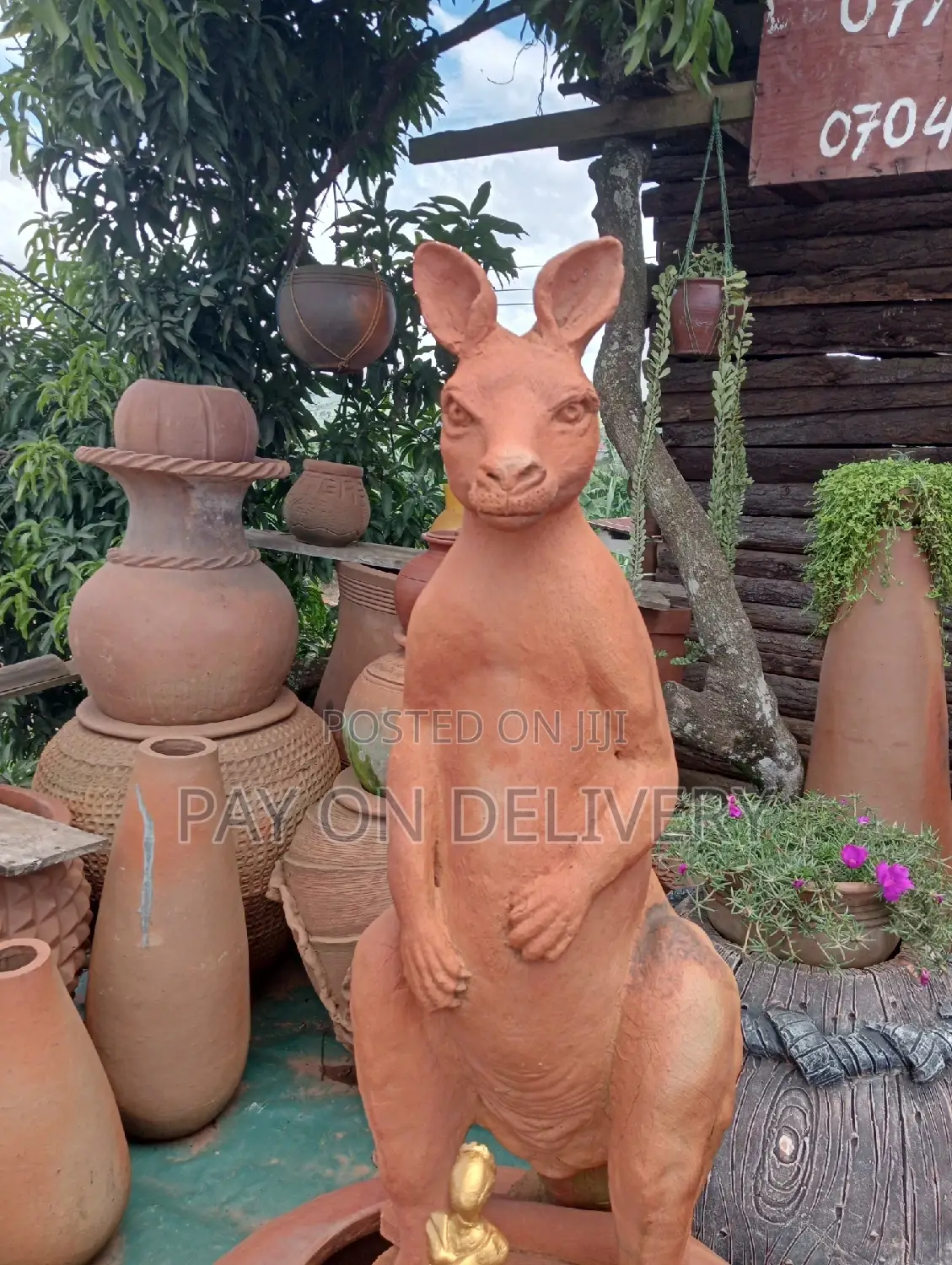 Pots And Flowers